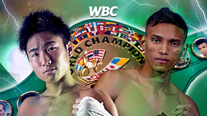 Kenshiro Teraji vs Cristofer Rosales WBC special fight preview