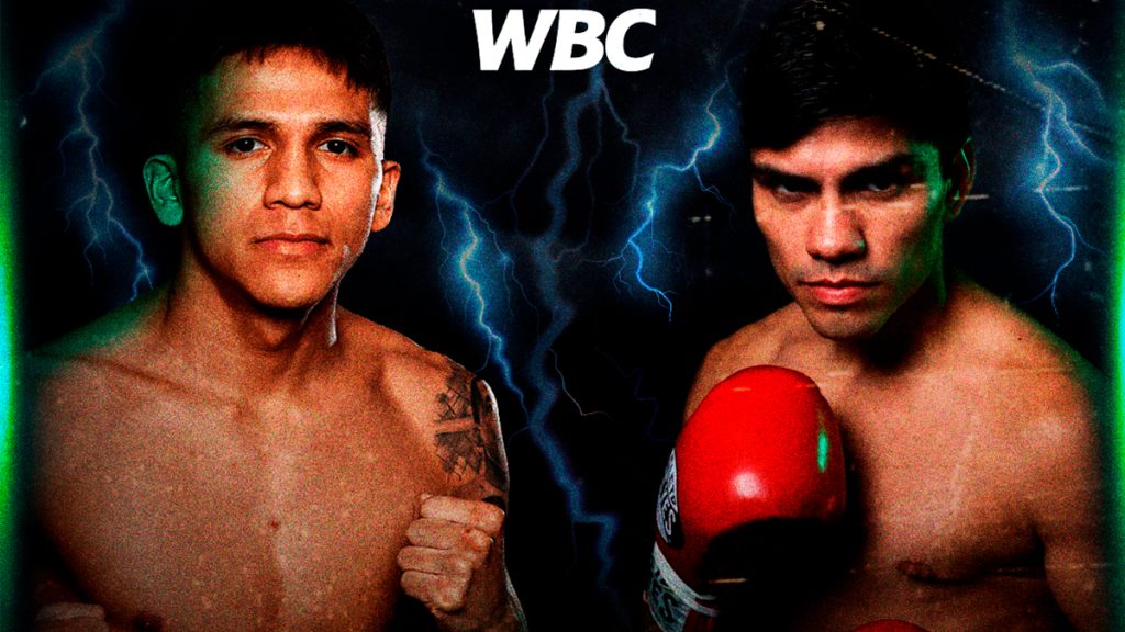 Jesse Rodriguez vs Pedro Guevara WBC fight preview, betting odds and prediction