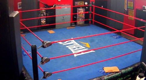 Exploring the World of Amateur Boxing: What Sets It Apart from the Pro Circuit?